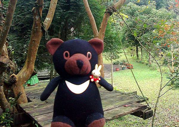 1相片3138_001 1相片3138_001