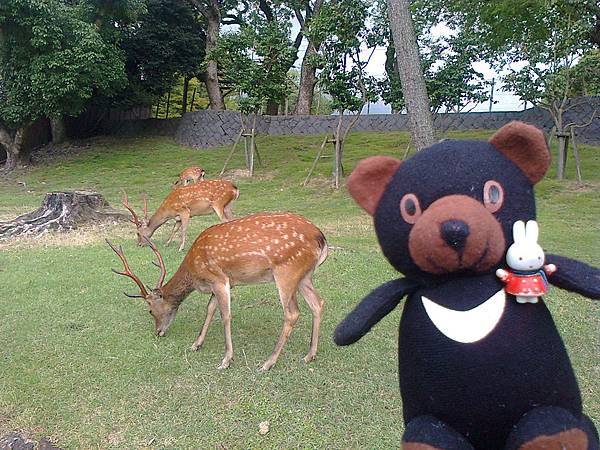 714奈良1307141742.jpg 714奈良1307141742.jpg