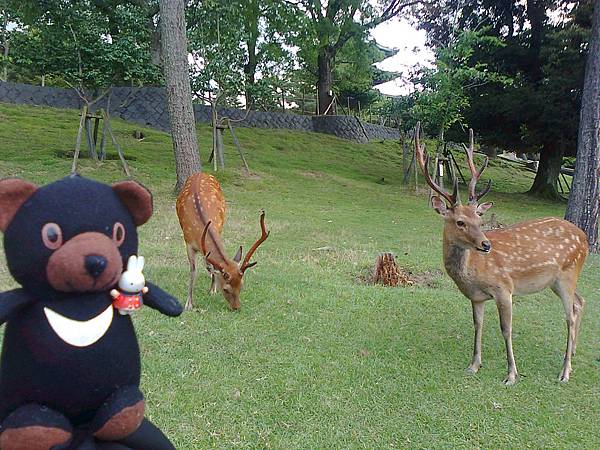 714奈良1307141744.jpg 714奈良1307141744.jpg