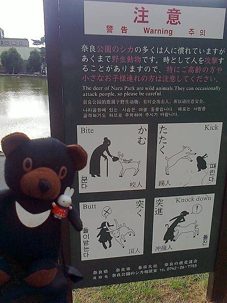 714奈良1307141746_001.jpg 714奈良1307141746_001.jpg