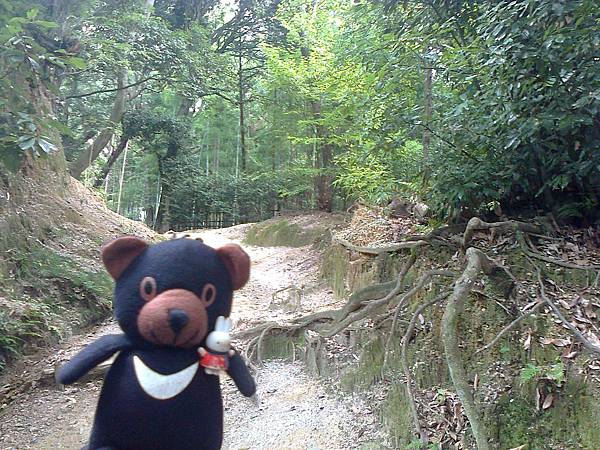 808稻荷神社1307146223.jpg 808稻荷神社1307146223.jpg