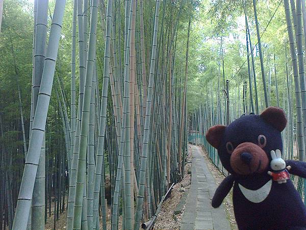 808稻荷神社1307146229.jpg 808稻荷神社1307146229.jpg