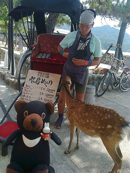 724宮島1307143593.jpg 724宮島1307143593.jpg