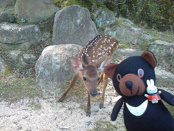 724宮島1307143612.jpg 724宮島1307143612.jpg