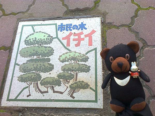 802八戶1307145591.jpg 802八戶1307145591.jpg