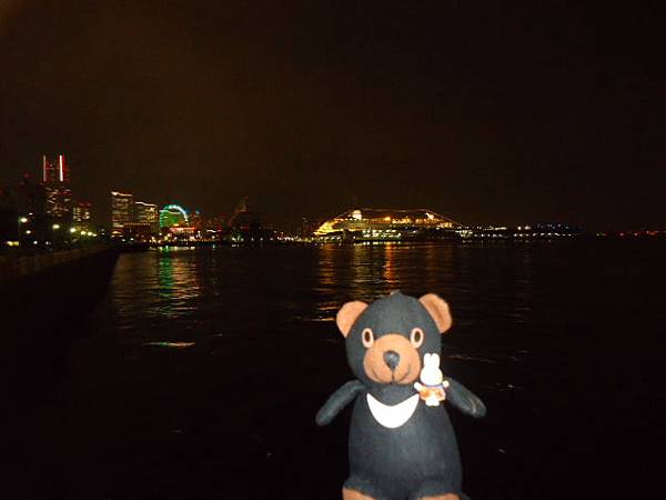 aDSC04169.JPG aDSC04169.JPG