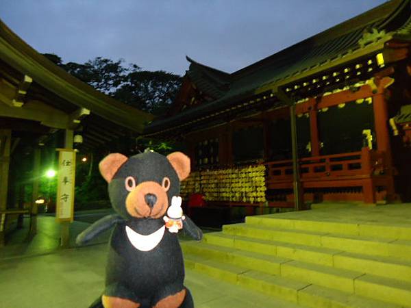 aDSC04128.JPG aDSC04128.JPG