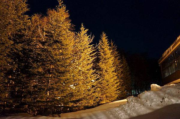 DSC02941-1024.jpg DSC02941-1024.jpg