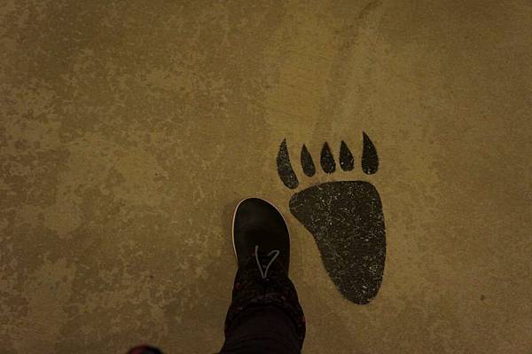 DSC02965-1024.jpg DSC02965-1024.jpg