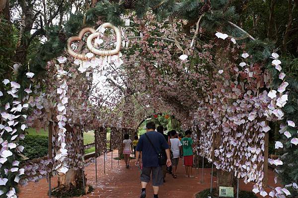 DSC01854-1024.jpg DSC01854-1024.jpg