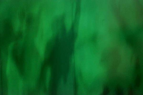 DSC01903-1024.jpg DSC01903-1024.jpg