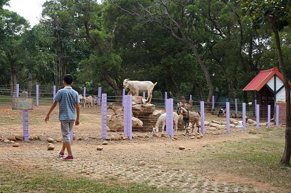 DSC02042-1024.jpg DSC02042-1024.jpg