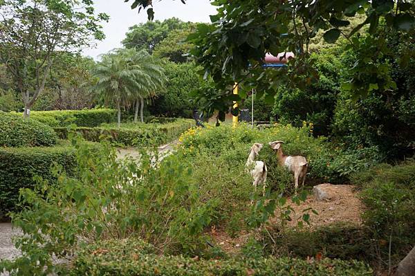 DSC02041-1024.jpg DSC02041-1024.jpg