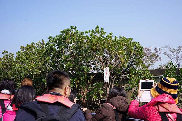 DSC02614-1024.jpg DSC02614-1024.jpg