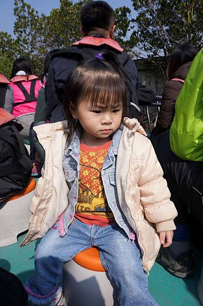 DSC02613-1024.jpg DSC02613-1024.jpg