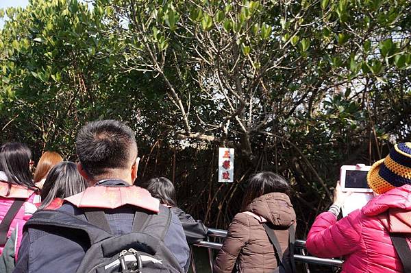 DSC02615-1024.jpg DSC02615-1024.jpg