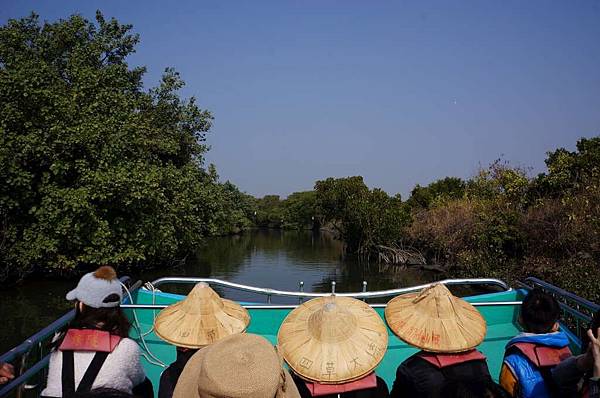 DSC02620-1024.jpg DSC02620-1024.jpg