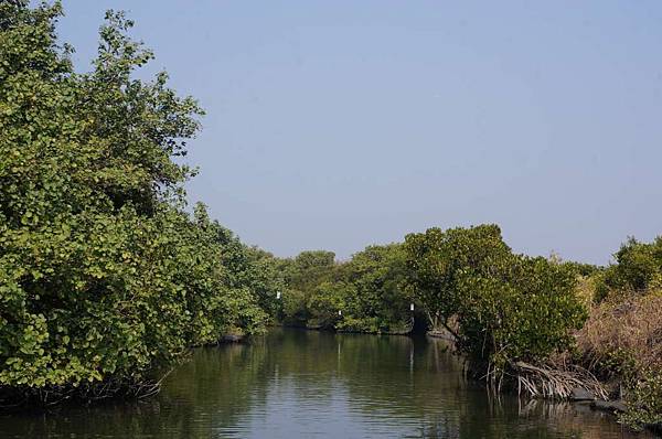 DSC02619-1024.jpg DSC02619-1024.jpg