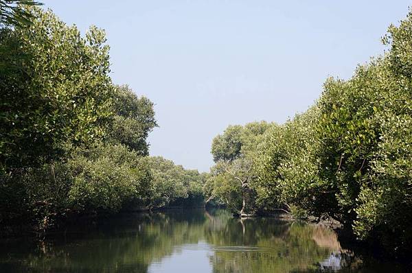 DSC02617-1024.jpg DSC02617-1024.jpg