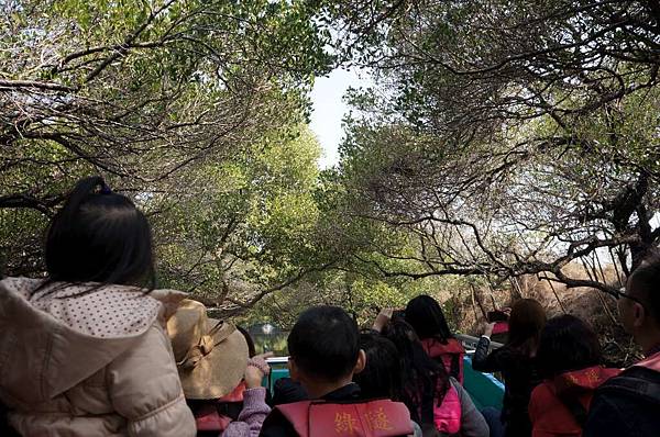 DSC02636-1024.jpg DSC02636-1024.jpg