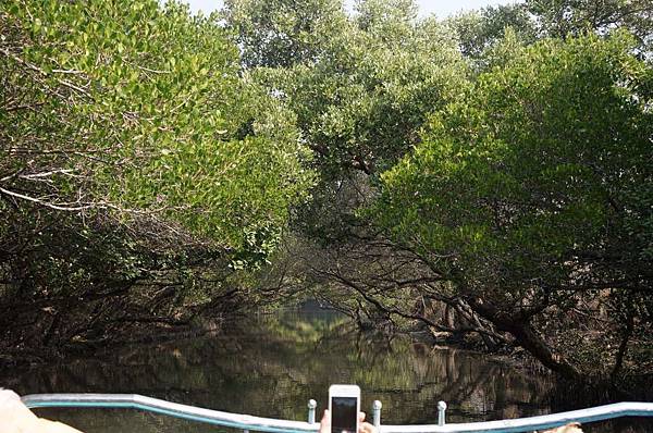 DSC02625-1024.jpg DSC02625-1024.jpg