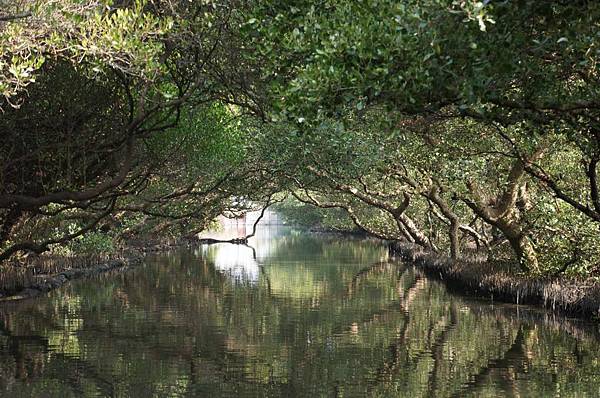 DSC02676-1024.jpg DSC02676-1024.jpg