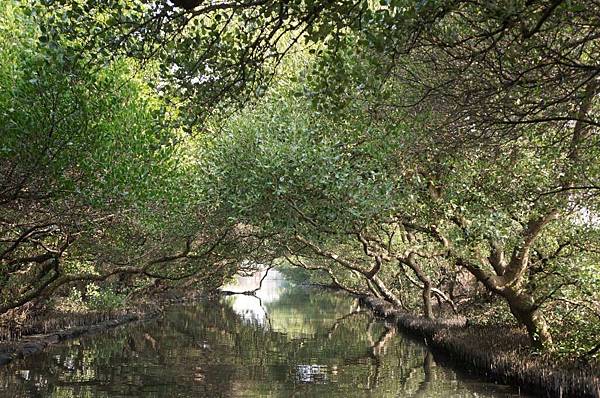 DSC02677-1024.jpg DSC02677-1024.jpg