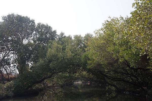 DSC02712-1024.jpg DSC02712-1024.jpg