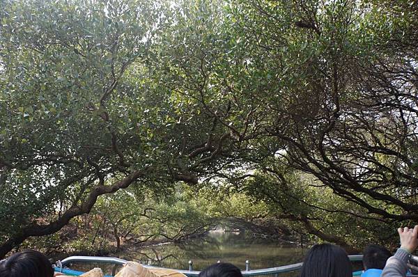 DSC02713-1024.jpg DSC02713-1024.jpg