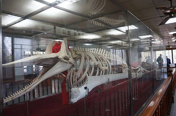 DSC02746-1024.jpg DSC02746-1024.jpg