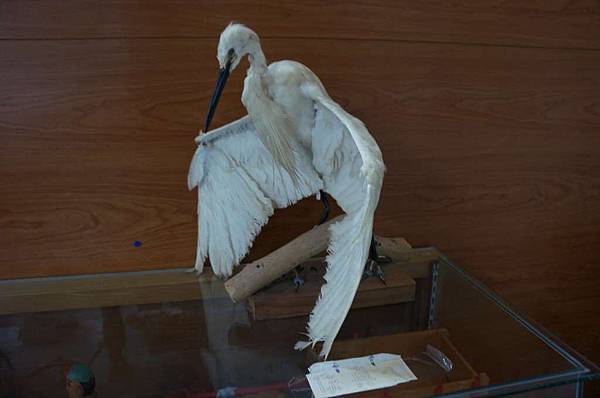 DSC02751-1024.jpg DSC02751-1024.jpg