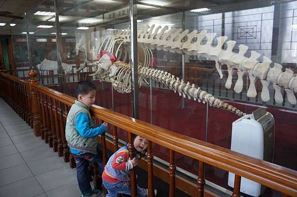 DSC02749-1024.jpg DSC02749-1024.jpg