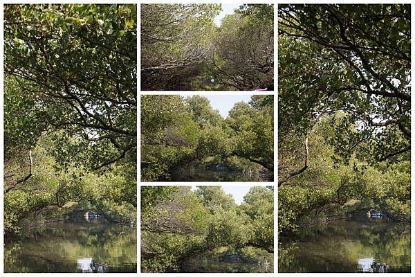 P01-1024.jpg P01-1024.jpg