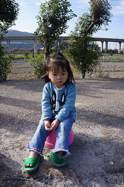 DSC05061-1024.jpg DSC05061-1024.jpg