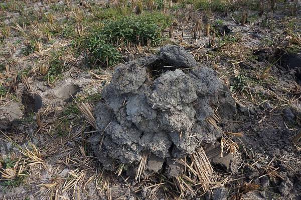 DSC05068-1024.jpg DSC05068-1024.jpg