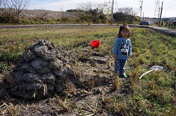 DSC05089-1024.jpg DSC05089-1024.jpg