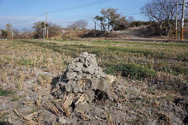 DSC05091-1024.jpg DSC05091-1024.jpg