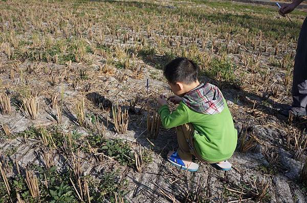 DSC05097-1024.jpg DSC05097-1024.jpg