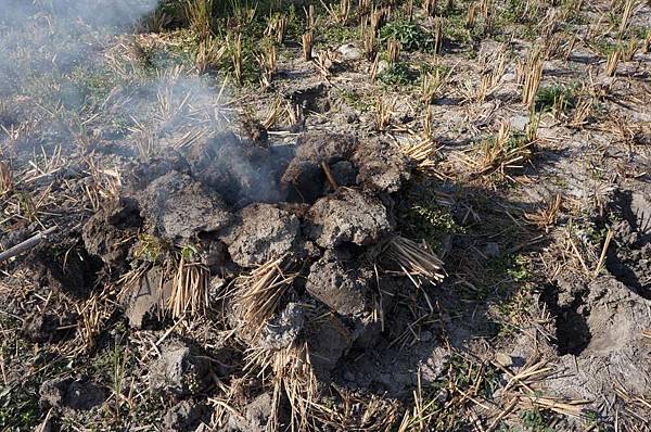 DSC05111-1024.jpg DSC05111-1024.jpg