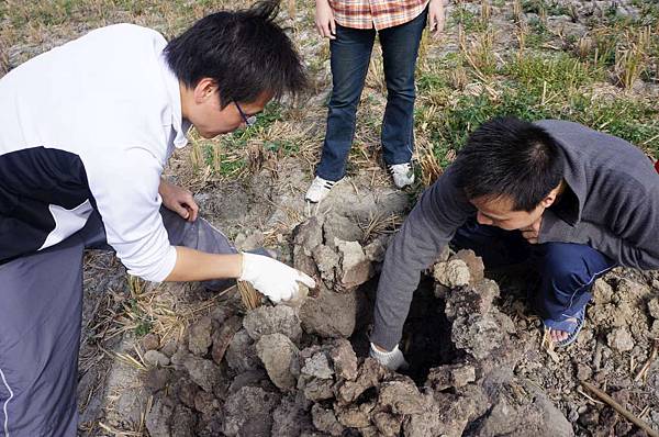 DSC05178-1024.jpg DSC05178-1024.jpg