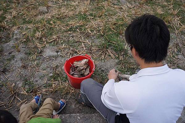 DSC05265-1024.jpg DSC05265-1024.jpg