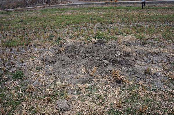 DSC05295-1024.jpg DSC05295-1024.jpg