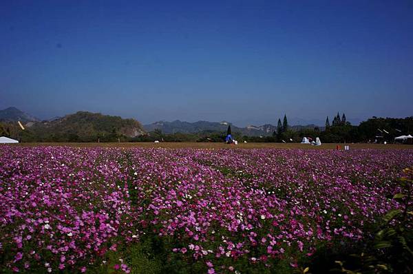 DSC03470-1024.jpg DSC03470-1024.jpg
