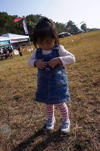 DSC03680-1024.jpg DSC03680-1024.jpg