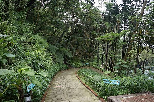 DSC08291-1024.jpg DSC08291-1024.jpg