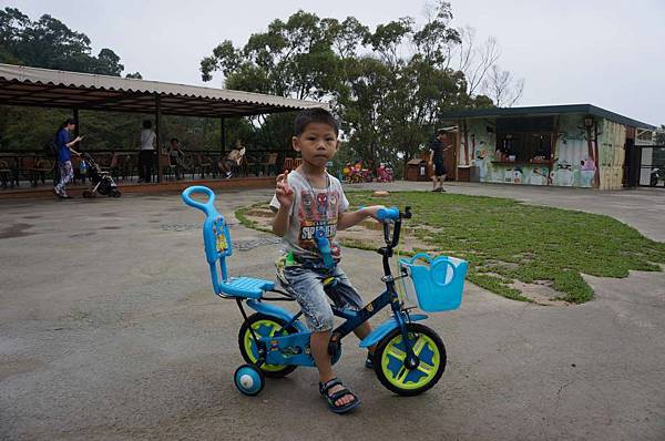 DSC08305-1024.jpg DSC08305-1024.jpg