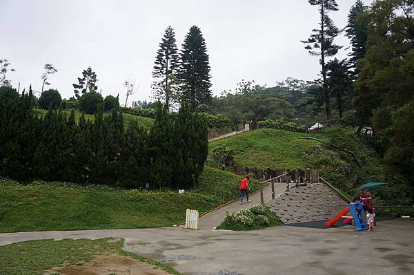 DSC08313-1024.jpg DSC08313-1024.jpg