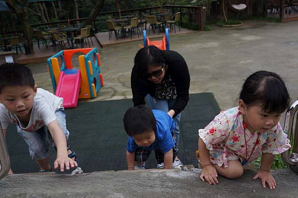 DSC08332-1024.jpg DSC08332-1024.jpg