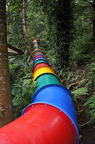 DSC08484-1024.jpg DSC08484-1024.jpg