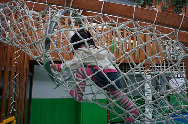 DSC01554-1024.jpg DSC01554-1024.jpg